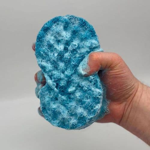 Soap Sponges